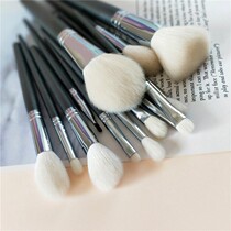 Cangzhou makeup brush set animal hair true hair full set of 14 soft hair eye shadow brush loose paint brush blush brush professional
