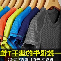 Quick-drying clothes Mens short-sleeved outdoor quick-drying clothes loose casual sweat-absorbing clothes T-shirt womens running half-sleeved sports T-shirt