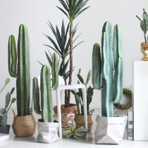  Sicilian simulation plant fairy column Desert green plant potted home living room decoration decoration Shop window decoration
