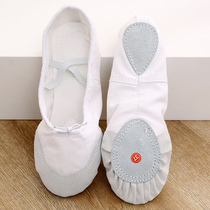 Soft-bottom dance shoes Womens classical Chinese body adult dancing cat claw childrens ballet shoes for boys and girls