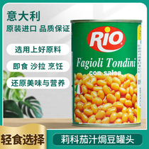 Italian imported Lyco Eggplant Juice Canned Beans Ready-to-use Ketchup With Rice Sauce Mixed Noodles Convenience Canned 400g