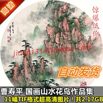 National Painting Ultra High Qing Pictures Dong Shouping Works Painting Collection 11 Full Set Of Water Ink Flowers Bird Design Material To Copy Spray Painting