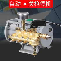 Suitable for Black Cat QL280 380 388 type high pressure car washing machine special brush copper pump head cleaning machine accessories