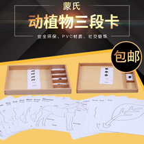 Montessori teaching aids Montessori childrens toys animals and plants animal and plant English early education cognitive kindergarten