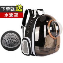 Cat Bag Out Portable Summer Double Shoulder Space Cabin Dog Rabbit Cage Big Cat Parrot Backpack Pet Supplies