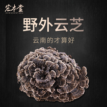  Hongbentang Yunnan wild growth Yunzhi 500g Yunzhi Mushroom Pruning wild Ganoderma lucidum slices Linzhi