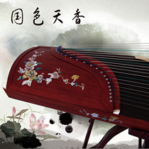 Hongyi musical instrument factory direct sales professional performance beginner examination level ten mahogany embedded color snail Guzheng-national color and heavenly fragrance