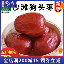 Shaanxi specialty Yanan Qingjian dog head jujube premium snack soup five kg FCL beach big red jujube Xian