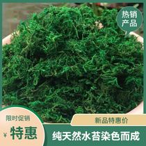 Simulation Moss Micro Landscape Diy Lawn Bonsai Green Planting Wall Paved wall Paved Turf for artificial plants Decorative Green Moss