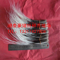 Porcupine hair Porcupine hair Porcupine thorn Porcupine head brown hair Selected beautiful hair Long hair(1 piece 1 piece)