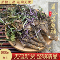 Dandelion whole root 500g tea dandelion full branches fresh dandelion Hay Changbai Mountain Po-pudding soaking water