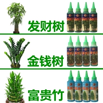 Wealthy bamboo tree special nutritional fluid free dilution deep fertilizer flower pot nutritional liquid fertilizer