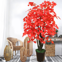 Simulation Plant Fake Potted Plum Blossom Living Room Furnishing Peach Blossom Tree Indoor Green Plant Decoration Flower Fake Flower Plastic Large Cherry Blossom