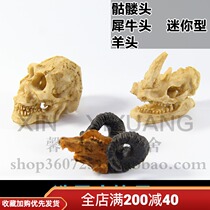 Reptile box landscaping skull rhinoceros head goat head turtle box decoration simulation landscaping climbing box NS90