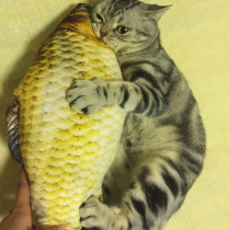 Mint Grass Fish Cat Toy Cat Holding Pillow Cat Pillow Pet Toy Emulation Fish Toy Cat Mint Toy