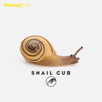 Wantmoin play model simulation wildlife model toy snail mollusk model childrens cognition