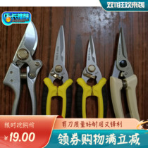 Stainless steel electrical scissors straight scissors electric wire scissors ceiling scissors bonsai flowers and wood repair techniques leaf scissors fruit scissors