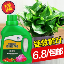 Green Luo Nutrient Liquid Flower Fertilizer Potted Universal Household Hydroponic Plant Rich Bamboo Flower Flowering Tree Fertilizer