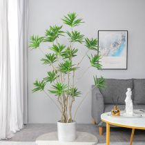 Simulation plant Lily bamboo landing potted Net red living room decoration decoration indoor fake green plant window landscaping tree