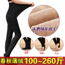 Autumn and winter pull down plus suede high waist collecting belly big code plus fat lengthening foot fat mm200 catty skinny pantyhose underfoot socks