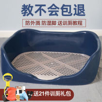 Puppy poop go to the toilet