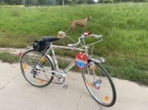 Japanese second-hand bicycle original vehicle 50s station wagon Miyata suburban car milky white solitary collection 26
