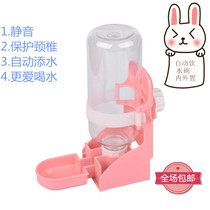 Rabbit water bowl with silent kettle 500ml water bottle chinchillo guinea pig pet automatic water dispenser