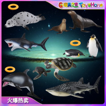 TOMY more beautiful shark whale sea turtle sea lion dolphin seal Penguin Anlia simulation wild marine animal model