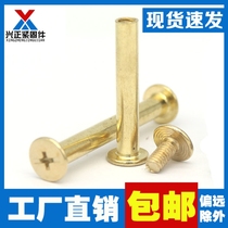 Copper-plated Ledger screw pin pin butt screw recipe nail binding nail M5-100mm