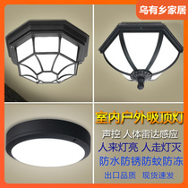 Induction ceiling lamp outdoor waterproof gate outdoor courtyard sun lamp garage staircase aisle sound and light control led
