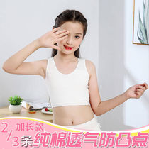 Developing puberty vest underwear girls primary school students junior high school girls bra cotton middle school children