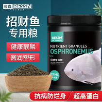 Special feed for lucky fish fish food disease rotten body warship fish ornamental fish tropical fish fish fish fish