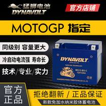  Lion motorcycle battery GTV300 VESPA VESPA lithium GTS250 LXV150 battery 12V Universal GTS