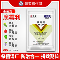  Japan Sumitomo quicklime rot mold Lee grape tomato cucumber strawberry gray mold mycorrhizal disease Pesticide fungicide
