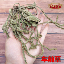 Chaoshan local plantain Dried plantain wheel vegetable Chinese Herbal Medicine 500g 