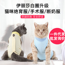 Cats Surgery Wear Clothes After Summer Summer Pets Cats and Dogs Cozy Clothes