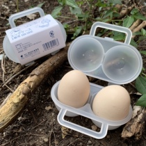 Day Single Outdoor Portable Egg Protection Box Plastic 2 Entrance Transparent with cover Egg Containing Box (Quality Like)