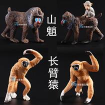 Gibbon doll simulation ghost baboon mandrill model rubber solid wildlife cognitive toy