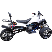 Dazzling big dinosaur inverted three-wheeled ATV Bashan 150cc14 inch road race venue elegant three-wheeled motorcycle