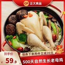 Positive Foods Old Hens 1 4kg Stew Soup Cooking Soup Whole Chicken Fresh Frozen Fresh Chicken