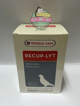 Belgian Versell Electrolyte bird special supplement body fluids to prevent dehydration 12 bags of a box