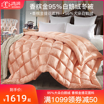 Hongrun Home Textile duvet 95 white goose down Champagne gold jacquard winter warm double goose down quilt winter quilt