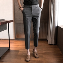 Trousers Mens slim-fit small feet Korean version of mens business casual trousers autumn suit pants youth thin feet pants