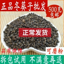Winter sunflower Chinese herbal medicine 500g winter sunflower seed sunflower seed sunflower seeds powder Chinese herbal medicine shop big whole