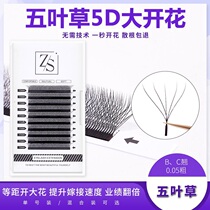 Five Leaves Grass Eyelash 5D Fairy Blossom Three Four-leaf Straw Yy Type Memascara Special One Second Blooming Eyelash Super Soft