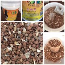 Win Quois Pigeon Special Barrel Health Care Sand Racing Pigeon Health Care Sand Bay Shell Sheet Minerals High Calcium Nutrient Barrel Sand