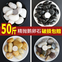 50 pounds paving stones pebbles rain stone rough stone small white stone soft warm courtyard Garden park landscaping