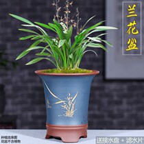 紫砂花盆兰花盆君子兰花盆桌面透气花盆陶瓷大码花盆套装清仓