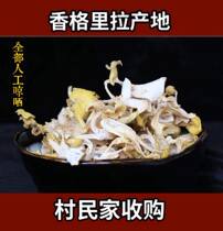 Yunnan chicken oil fungus dry goods chickens oil fungus slippery mushroom chicken fungus edible mushroom dry goods 125 grams