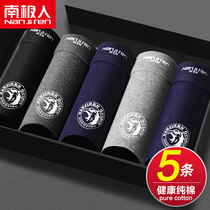 South Pole mens mens underwear boys flat corner pants pure cotton quality summer trend personality four-corner shorts head breathable full cotton